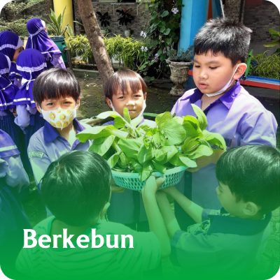 berkebun - ra al amanah cileunyi