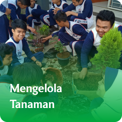 tanaman - smp al amanah cileunyi