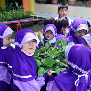 berkebun - ra al amanah cileunyi