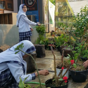 mengelola tanaman - smp al amanah cileunyi